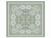 Load image into Gallery viewer, 26" Sage Green Paisley Print Scarf