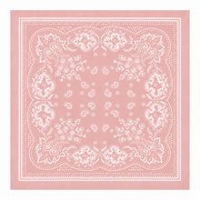 Load image into Gallery viewer, 26" Vintage Pink Paisley Print Scarf