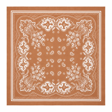 Load image into Gallery viewer, 26" Caramel Paisley Print Scarf